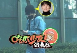 娱乐吃瓜查岗女朋友,揭秘查岗背后的爱情故事